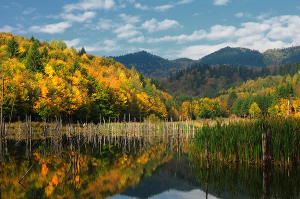 美しい秋の湖のビュー — ストック写真