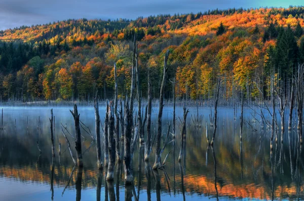 Krásné podzimní pohled na jezero — Stock fotografie