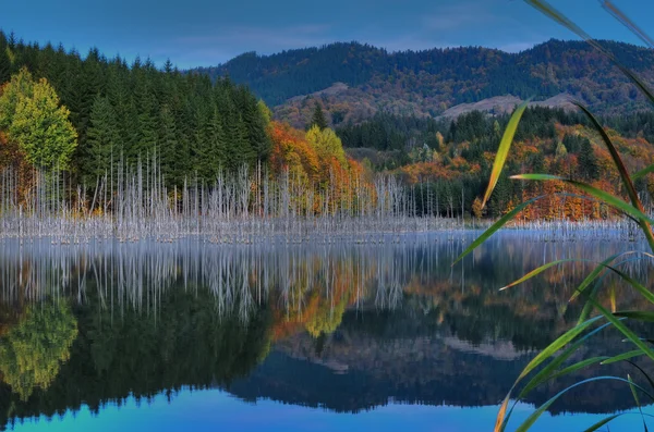 Красивый осенний вид на озеро — стоковое фото
