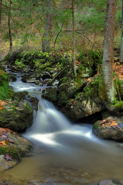 stock image Autumn waterfall