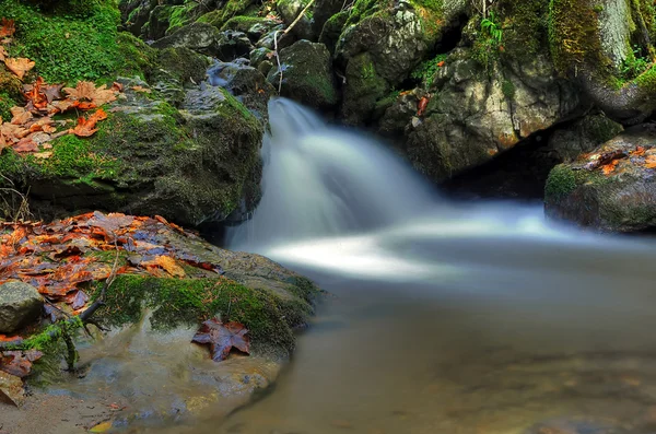 stock image Autumn waterfall