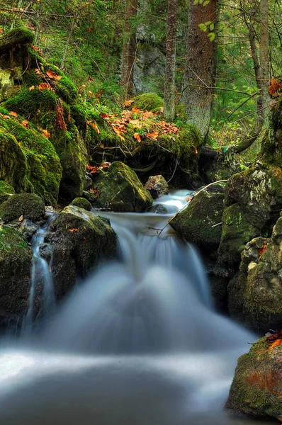 stock image Autumn waterfall