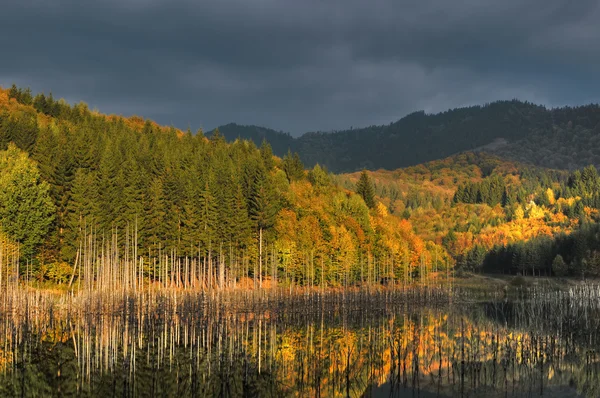 Красивый осенний вид на озеро Лицензионные Стоковые Фото