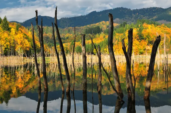 Красивый осенний вид на озеро Стоковое Фото