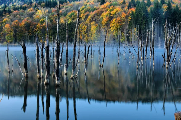 Красивый осенний вид на озеро Стоковая Картинка