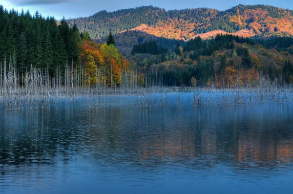 Όμορφο φθινόπωρο θέα στη λίμνη Royalty Free Εικόνες Αρχείου