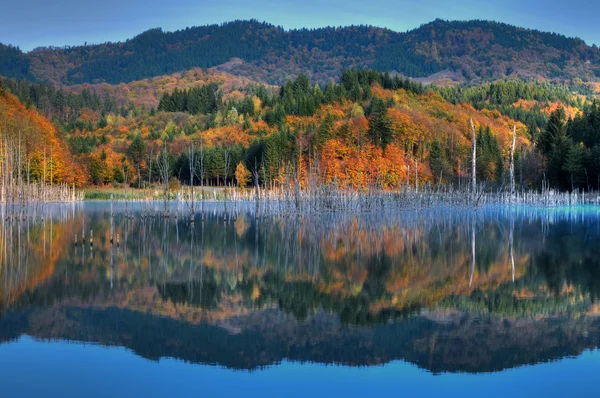 Όμορφο φθινόπωρο θέα στη λίμνη Φωτογραφία Αρχείου