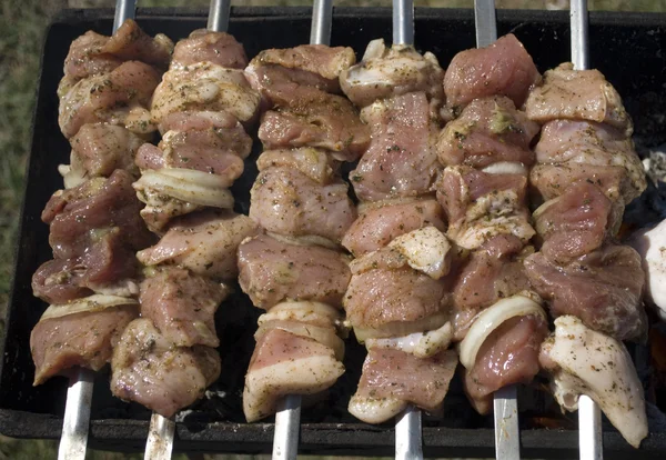 Carne em um prato de carne shish — Fotografia de Stock