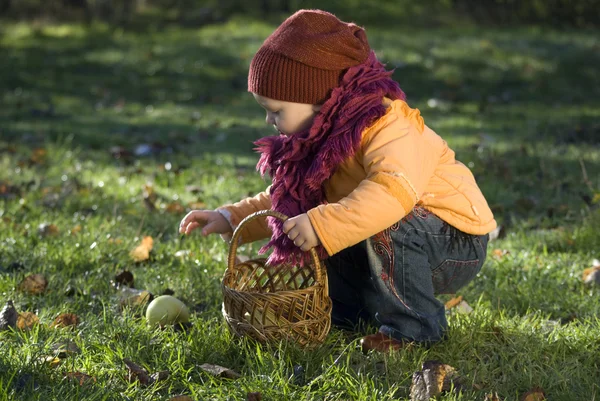 Girl with a basket — Stock Photo, Image