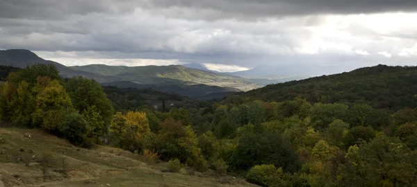 stock image Mountains covered with forests