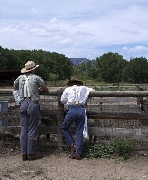 Feeding the Livestock