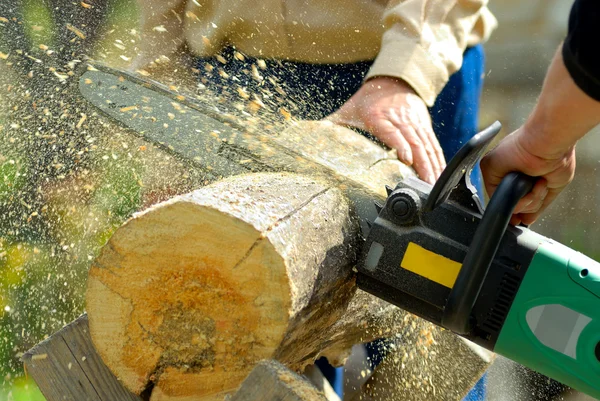 Lumberjack no trabalho — Fotografia de Stock