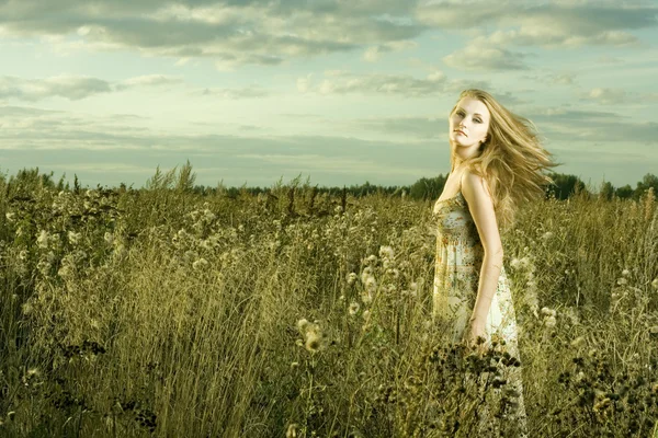 Beautiful girl in field — Stock Photo, Image