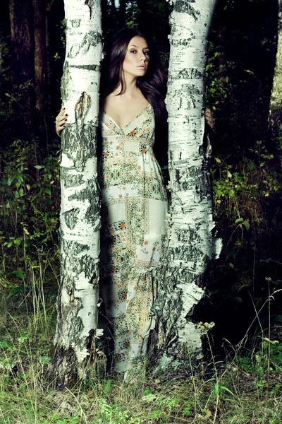 Krásná dívka beetwen dva stromy — Stock fotografie
