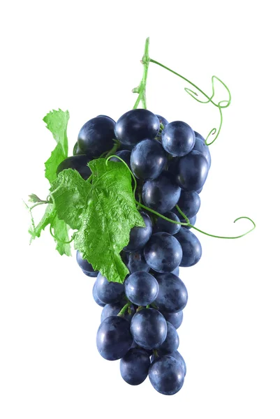 Bunch of ripe grapes with blue green leaves and a mustache — Stock Photo, Image