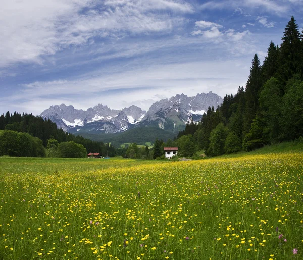 Oostenrijkse Alpen — Stockfoto