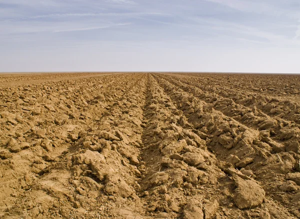 stock image Soil and Sky