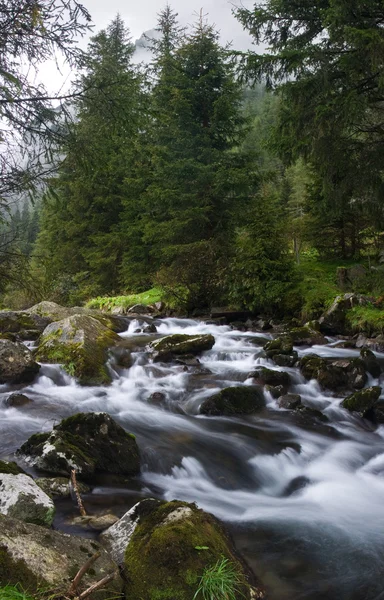 Альпийская река — стоковое фото