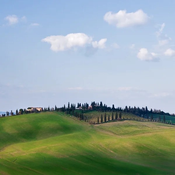 Hilly terrain with house and trees — Stockfoto