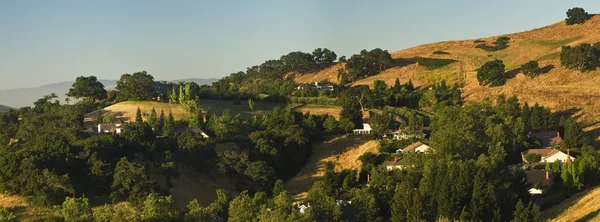 Collines de californie Photo De Stock