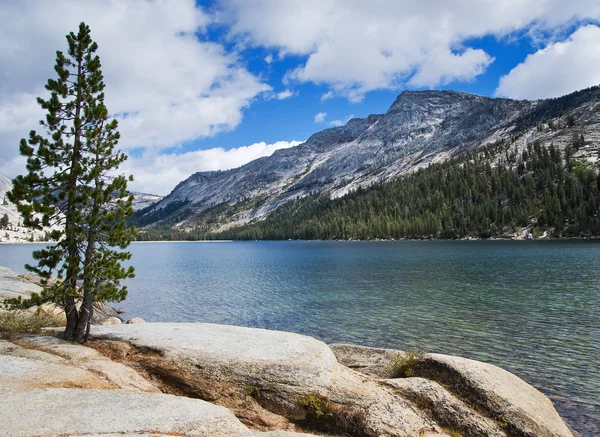 Lac à Yosemite — Photo