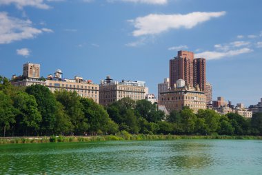 New York Şehri Central Park