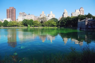 New York'taki central park manhattan skyline