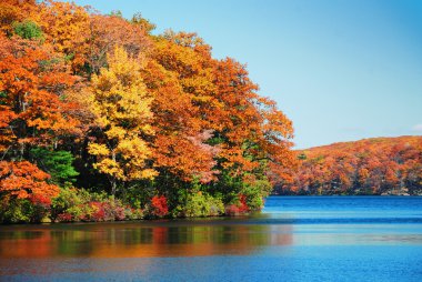Autumn foliage over lake clipart