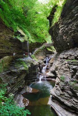 Watkins Glen