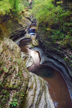 Watkins Glen