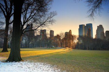 Central Park with sunset, New York City clipart