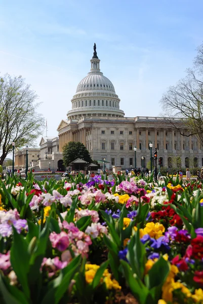 Capitol Building, Waszyngton — Zdjęcie stockowe