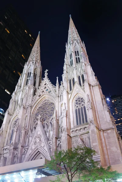 New york şehri St. patrick Katedrali — Stok fotoğraf