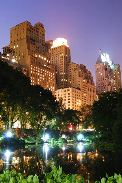 New York'taki central Park'ta gece