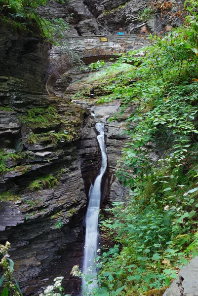 Wasserfall mit Brücke im Wald — Stockfoto