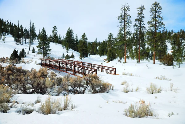 Campo de neve com ponte e árvores — Fotografia de Stock