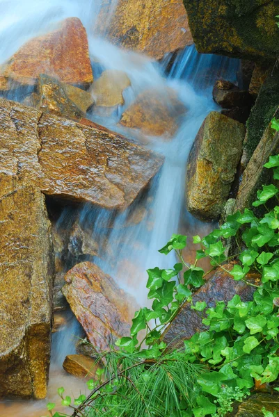 Primo piano cascata — Foto Stock