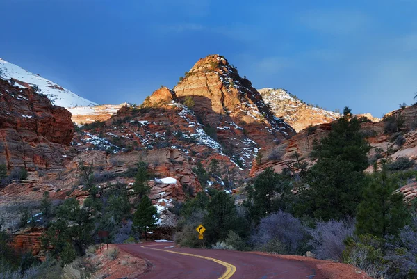 Zion nationalpark med väg och snö — Stockfoto