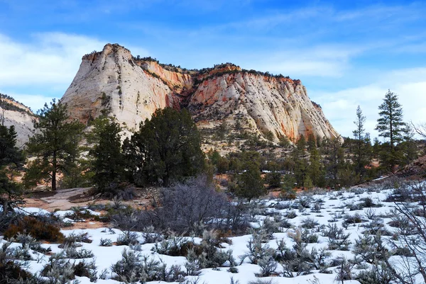 Zion National Park with snow — Stock Photo, Image