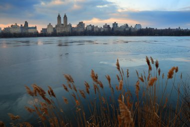 Central Park, New York Şehri