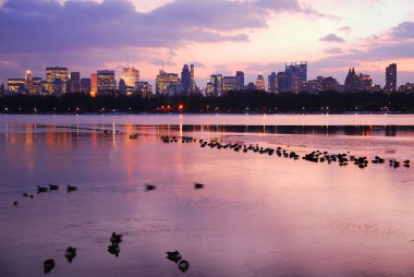 Central Park'a Günbatımı ile new york şehir manzarası