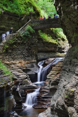 Watkins Glen Waterfall clipart