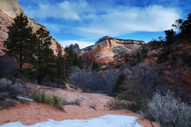 Zion National Park with snow in winter clipart