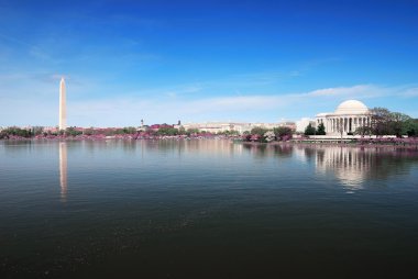 Washington DC panorama clipart