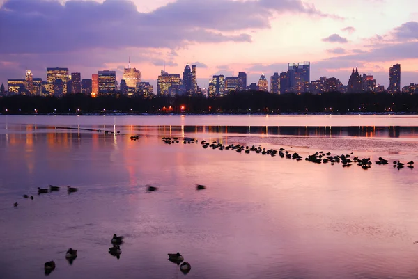 stock image Central Park Sunset with New York City Skyline