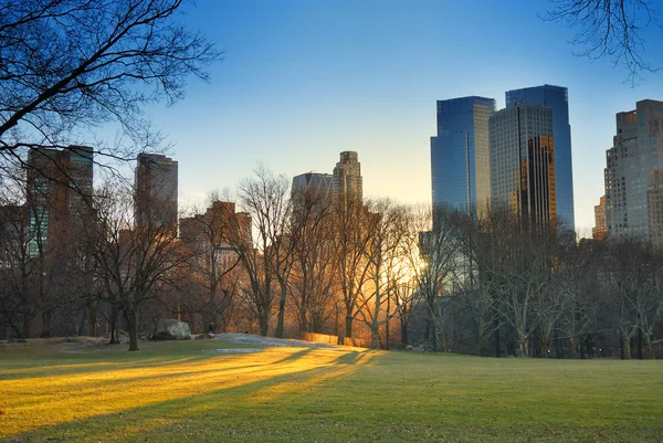 Central park a západ slunce, new york city — Stock fotografie