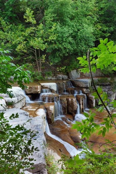 Cascata nel bosco — Foto Stock