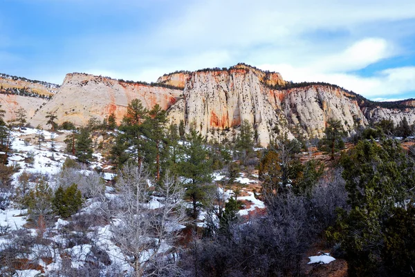 Parc national de Zion en hiver — Photo