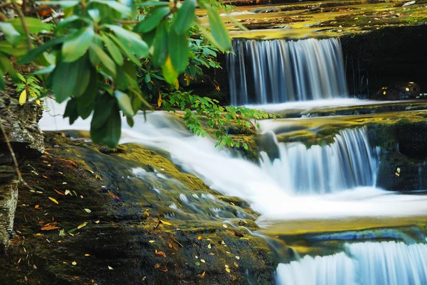 Waterfall woods — Stock Photo, Image