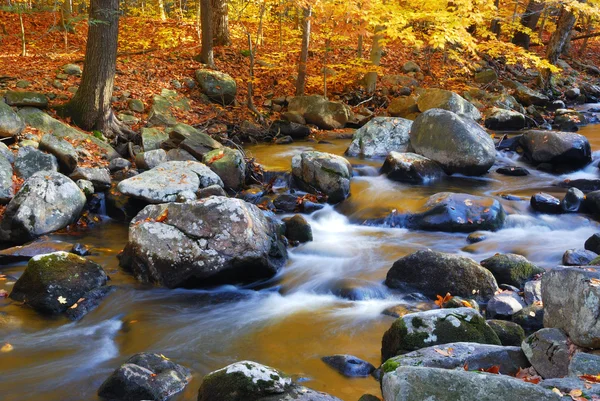 Herbstliche Bachwälder — Stockfoto